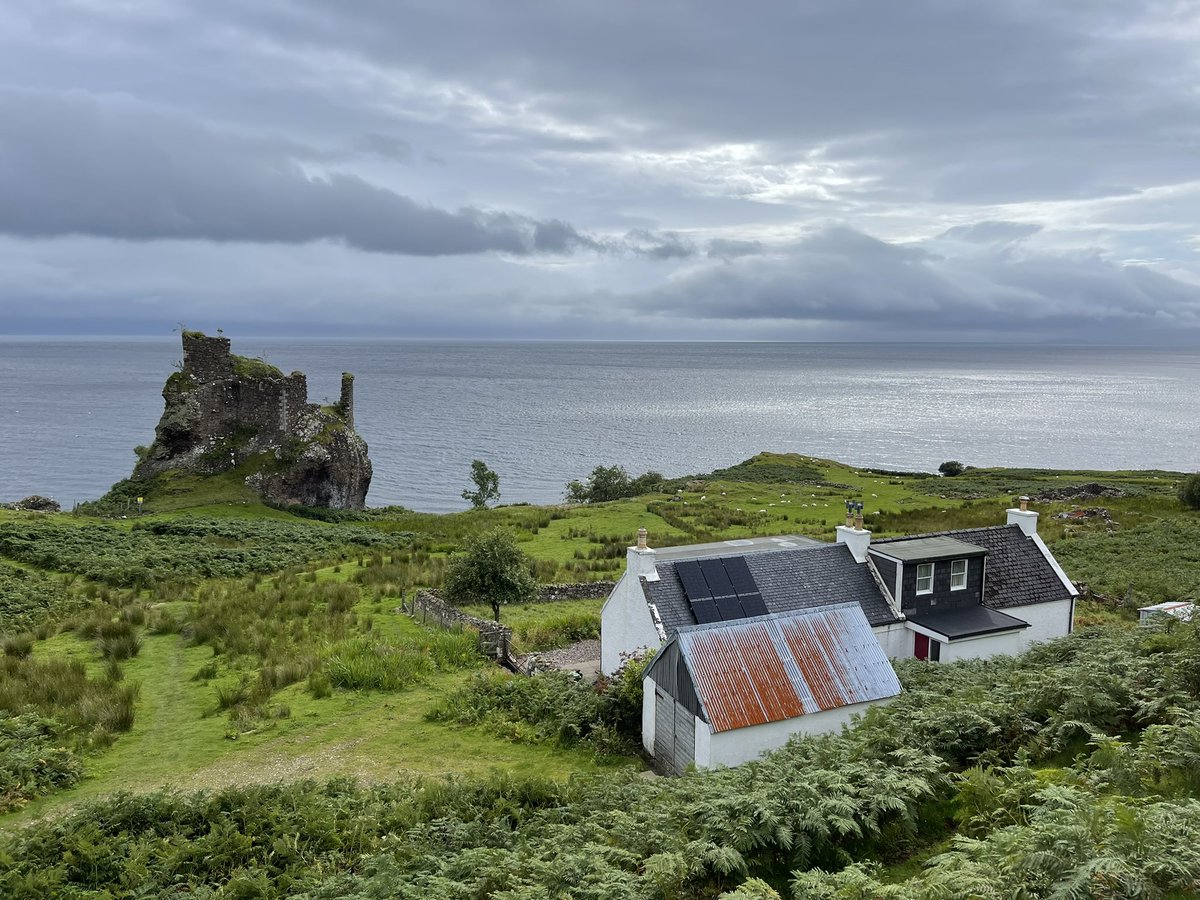 Ilona Turnbull tweet media