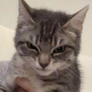 tiny_hyeju's tweet image. #혜주 grrrr