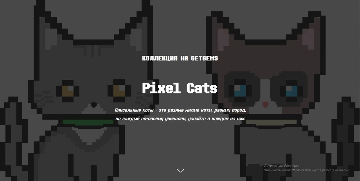 PixelCatsTON's tweet photo. Hello, we have our own website
https://t.co/dEOVqJ46Zj https://t.co/QDe6umrdf4