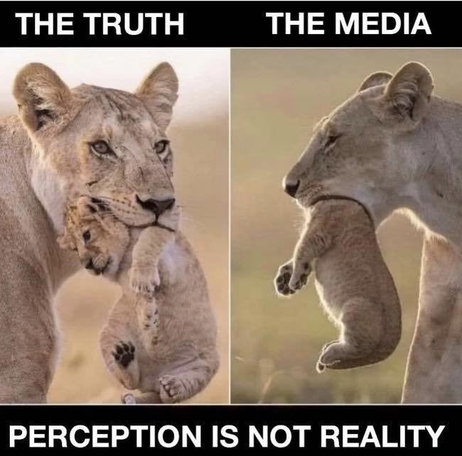 Sheckyi's tweet photo. ๐ฎ๐ฎ๐ฎ๐ฎ๐ฎ๐ฎ๐ฎ๐ฎ๐ฎ
PERCEPTION
IS NOT
REALITY
#FakeNewsSucks https://t.co/rzT5zGYYa4