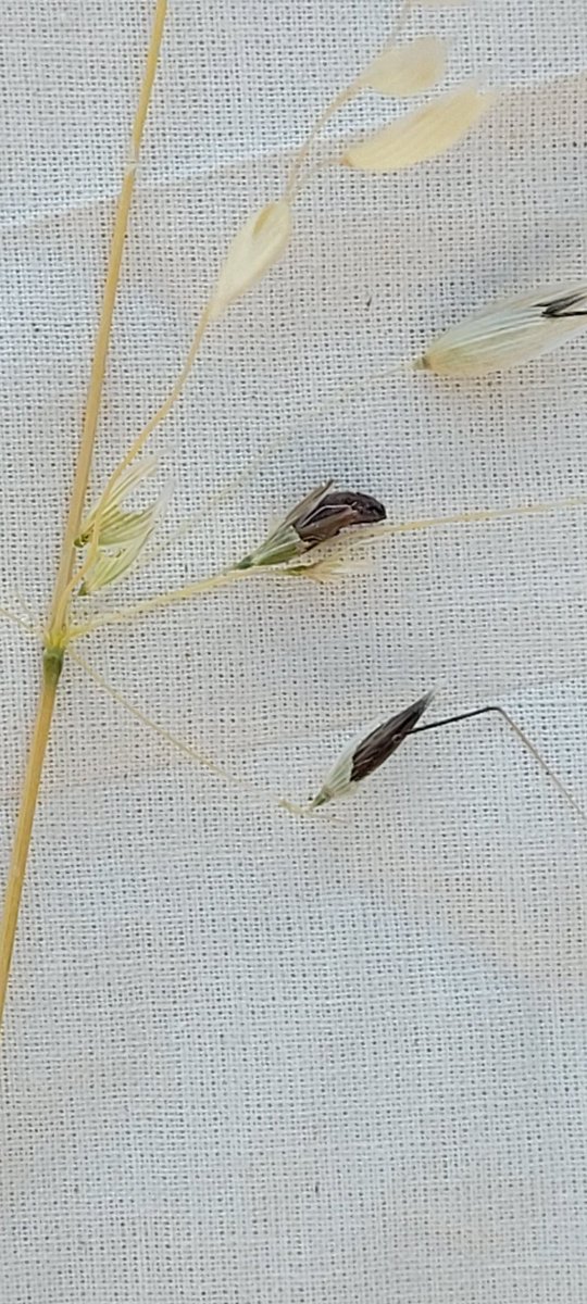 Eric Johnson tweet media