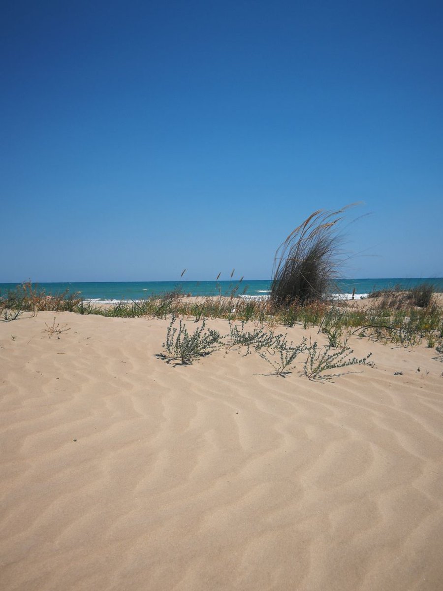 MartiComparelli's tweet photo. #JovaBeachParty lascia le spiaggia meglio di come le trova https://t.co/fZ4NvlGePg