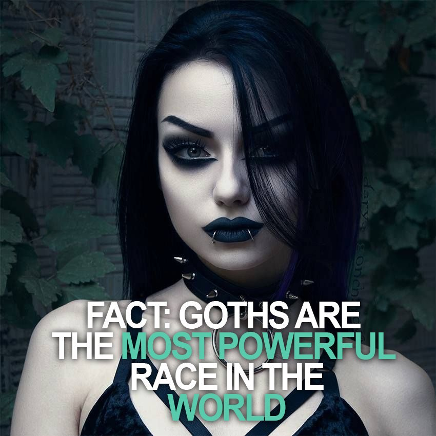 gothschizo's tweet image. 