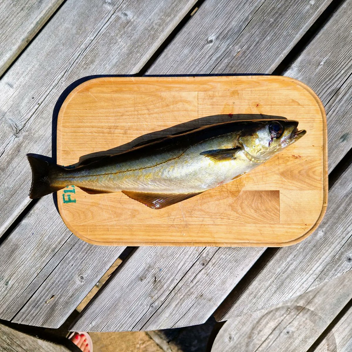 Caroline Hennessy tweet media