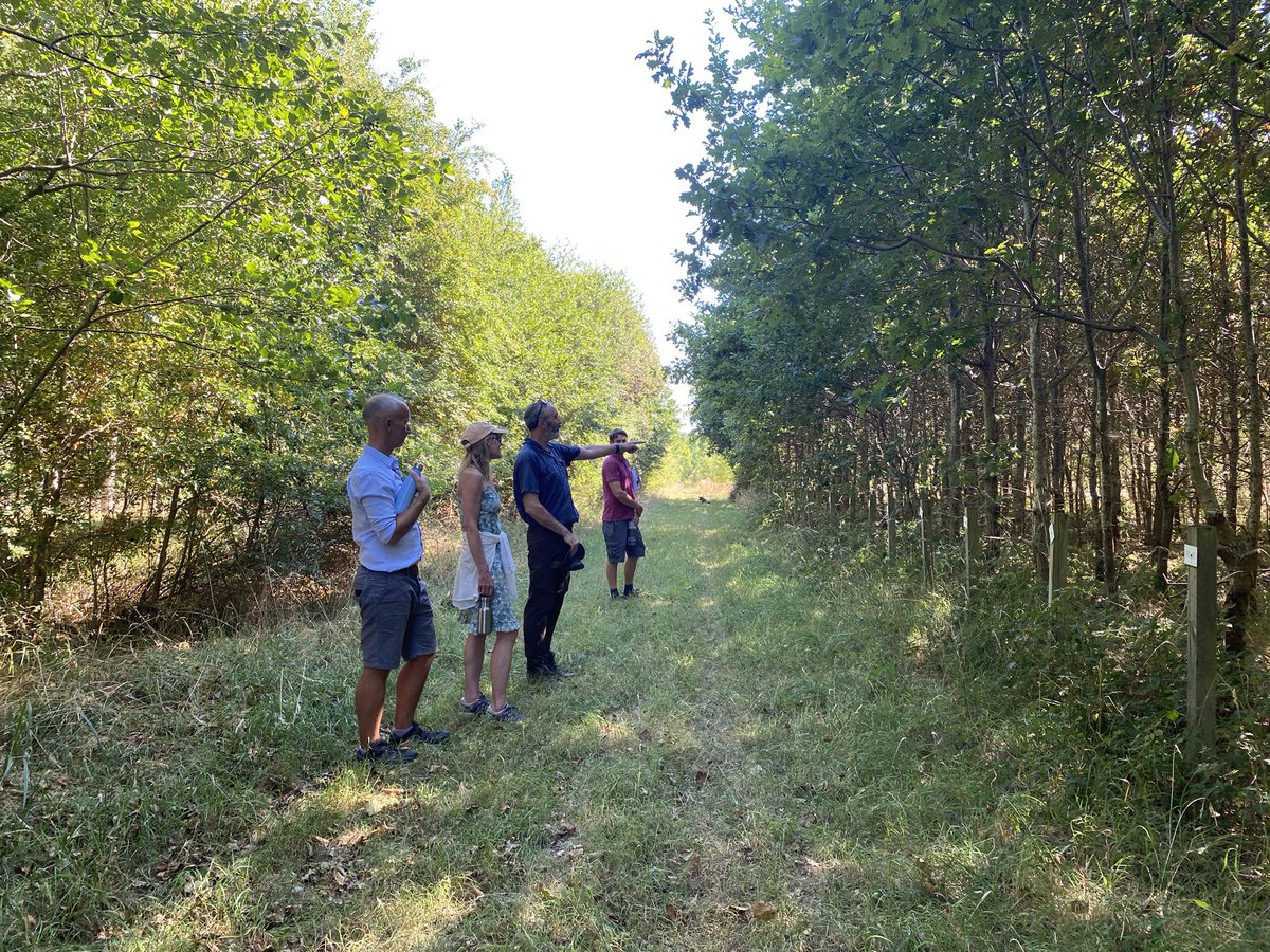 clare_pinches's tweet photo. Great visit to the @earth_trust &amp; 
Paradise Wood with the brilliant @GabrielHemery. The wood supports the country’s largest collection of hardwood timber trials. Great opportunities for further R &amp; D incl. on environmental resilience, appropriate in32 degree C @SylvaFoundation https://t.co/RIvAO5flFq