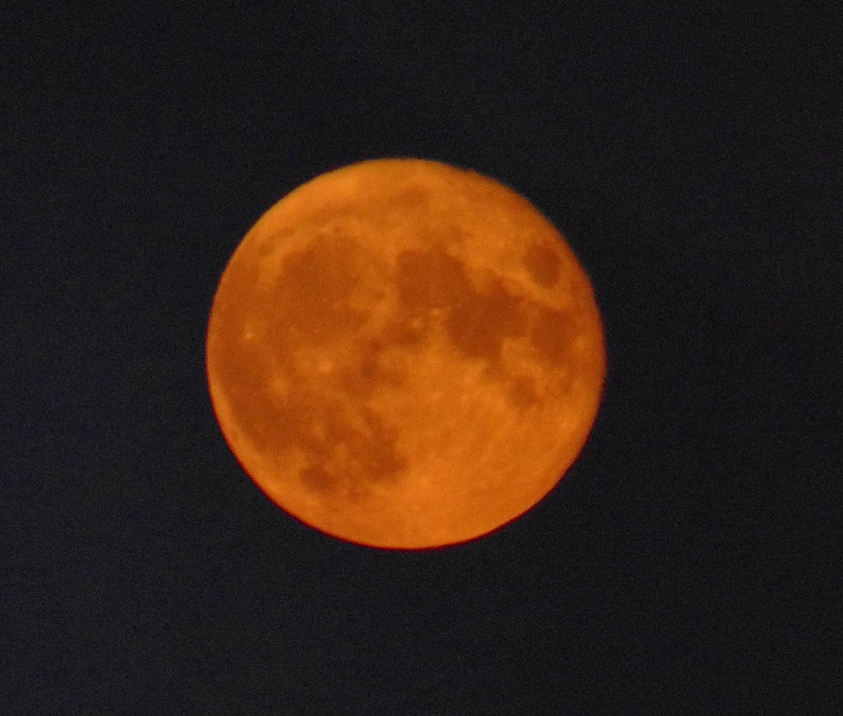 HornabrookLels's tweet photo. 😍 #SturgeonMoon #kernow #corwall @beauty_cornwall @Intocornwall 🌝 💕 https://t.co/JjxrylN5mU