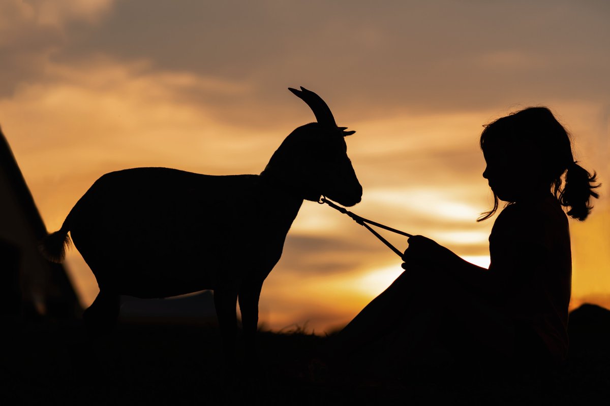 LPC_Members's tweet photo. Take a look at these top images from the 2022 Best of the Bunch Photography Contest! These three placed in the General category.

Best of the Bunch images were submitted by LPC members and voted on during #AgMediaSummit2022. 

Full results here: https://t.co/eCZicTCYXH https://t.co/6bLvNZLnrq