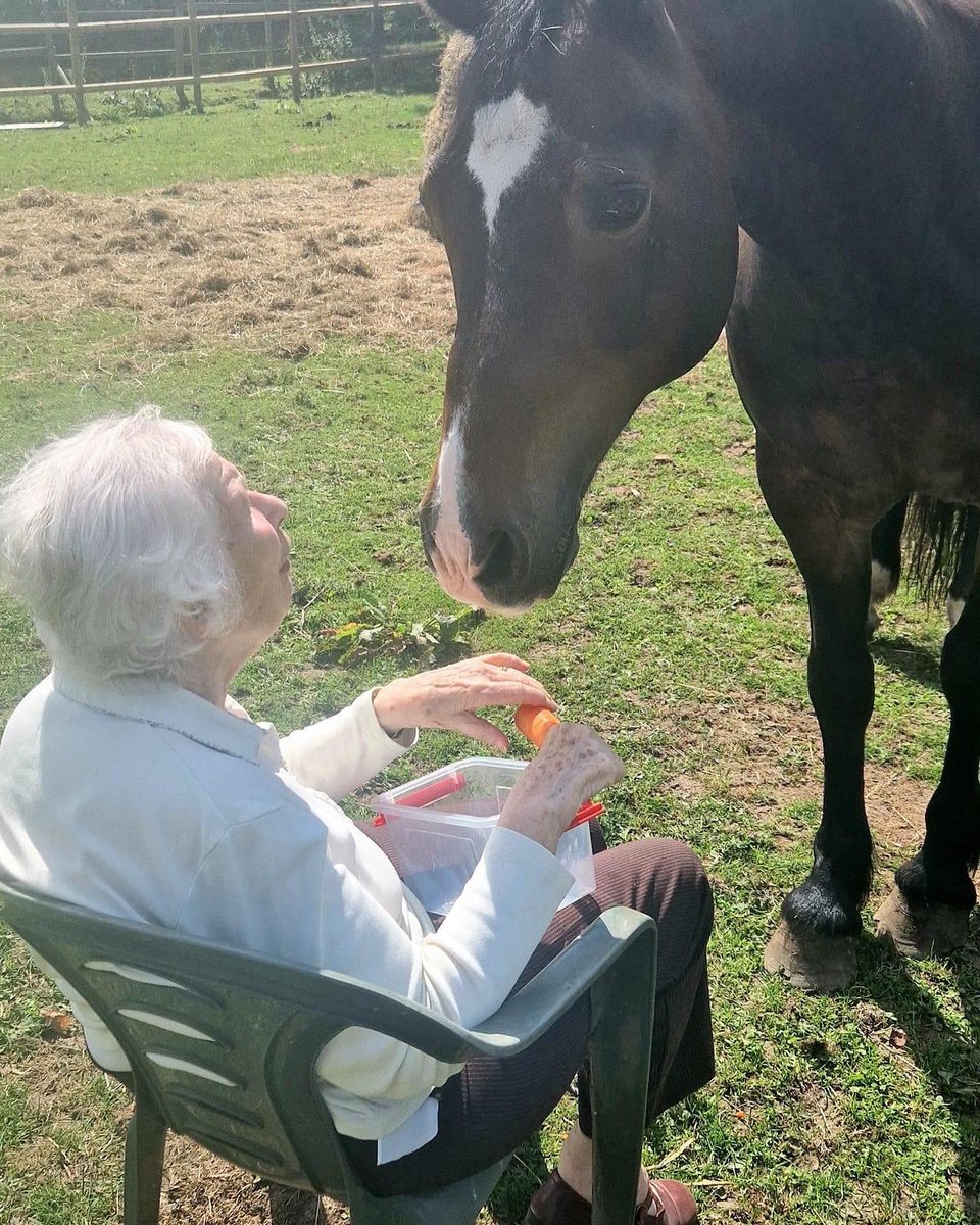 SpiritHerd's tweet photo. Joyce and Star, old friends 💜
#horseshealinghumans #ponysanctuary #horsesanctuary  #equine #equineassistedtherapy #mentalhealthawareness #horsesinrehabilitation #ponies #horse #horses #star #oldfriends https://t.co/MTPz05boT1