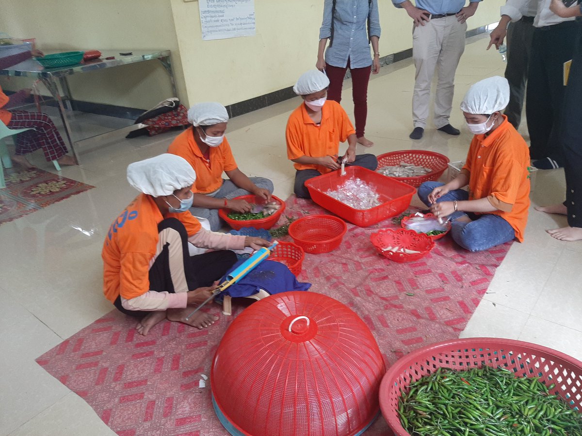 aquageimprove's tweet image. The #SMEs in #fish_processing is contributing to #Sustainable #Livelihoods, #food_security, #nutrition_security, #food_safety, #added_value , #markets and #trade. #SDGs is being achieved in #aquaculture and #fisheries in #Cambodia @aquageimprove