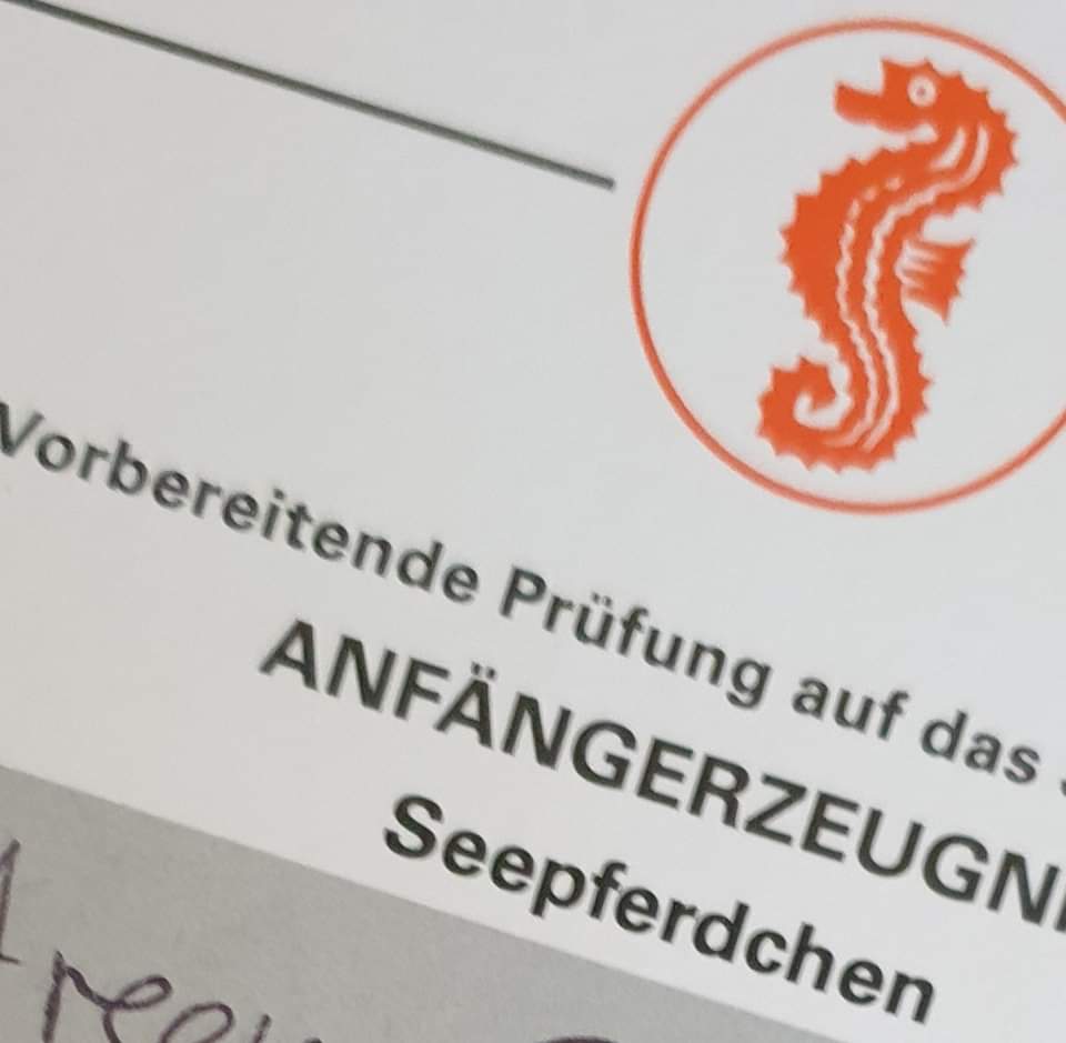 BZitzelsberger's tweet photo. Strahlende Kinderaugen, auch bei mir große #Freude: 16 #Kinder aus meinem zweiwöchigen #Anfängerschwimmkurs hatten ihr #Seepferdchen bestanden, 5 zusätzlich den #Seeräuber. #Danke an meine C-#Trainerinnen und -#Trainer vom @myPSAa. Danke an die @stadtaugsburg für das #Hallenbad. https://t.co/lykR7g7LCz