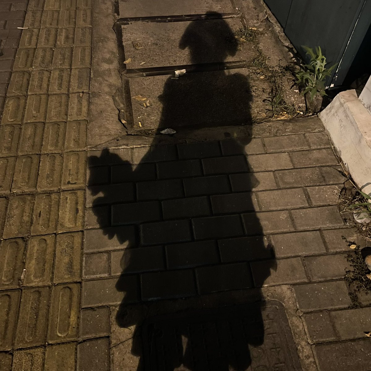 媒体预览