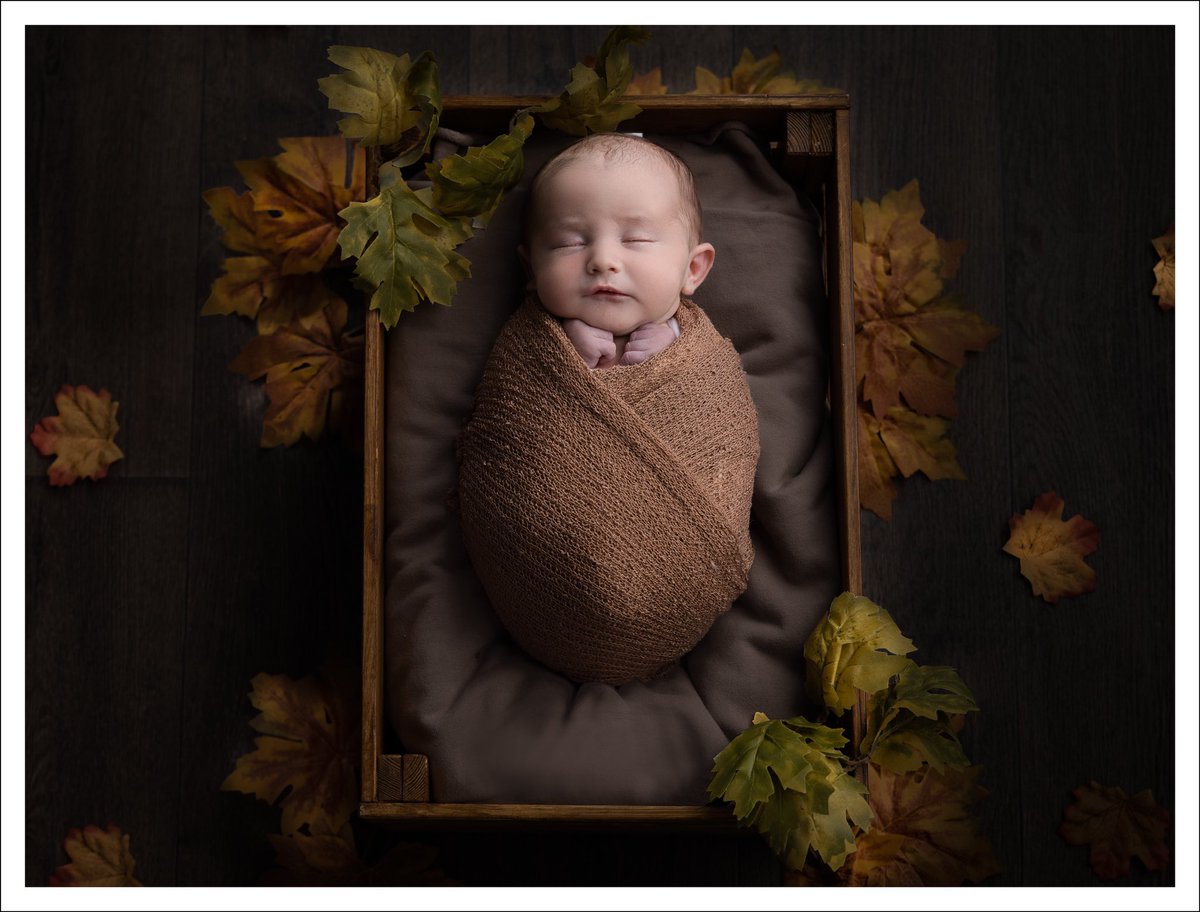 Autumn baby portraits. Booking now at GWS in East Lothian. 

#familyphoto #edinburghportrait #eastlothianportraitphotographer #edinburghportraitphotographer #eastlothianfamilyphoto #edinburghfamilyphoto #edinburghkidsphotographer #childrenphotography