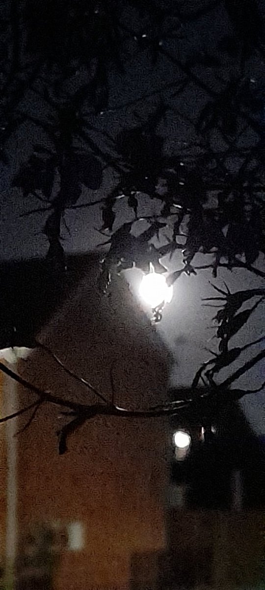 debbo1985's tweet photo. @laurenward_1990 He's a big bugger tonight! 🌕 https://t.co/XcK9uGQZ2e