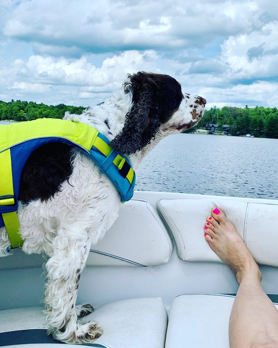 HSkinnyB's tweet photo. @MichaelFulwiler Hank on his first boat ride. https://t.co/XinxsBKqYt