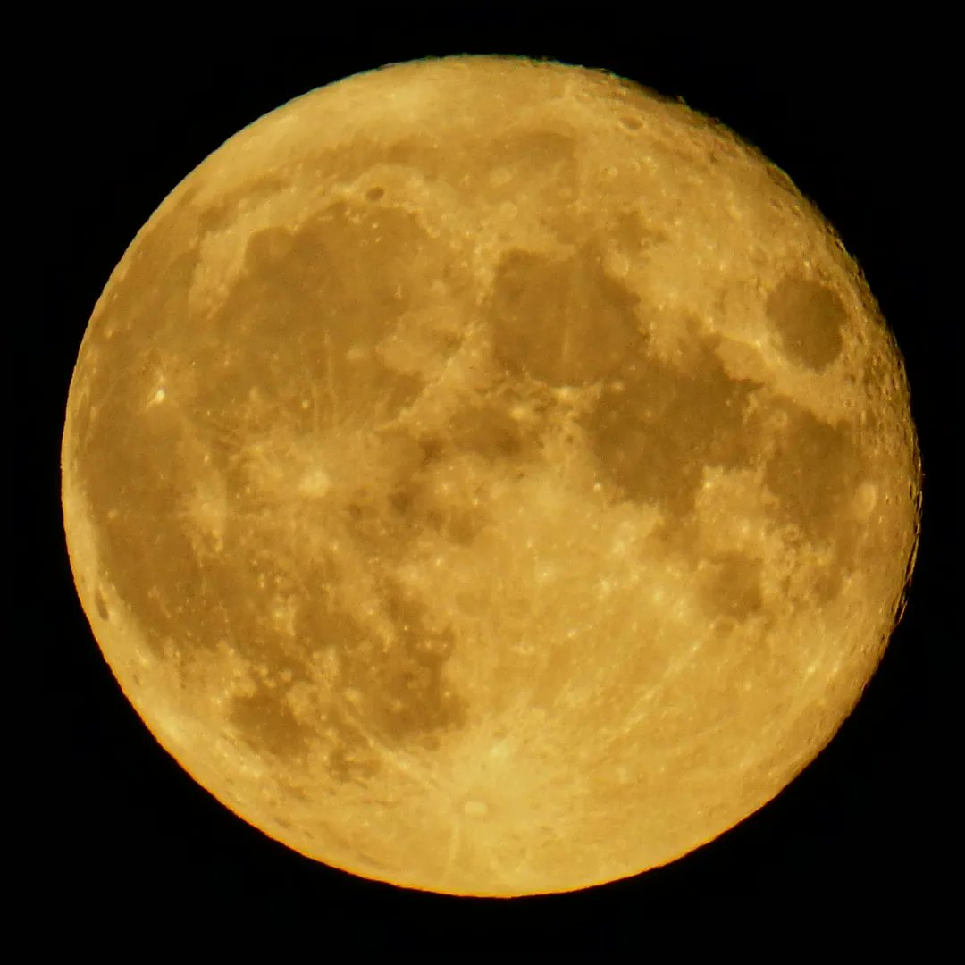 Al_Joe_K's tweet photo. #Supermooon from Rothwell. https://t.co/TN6aPyekqu