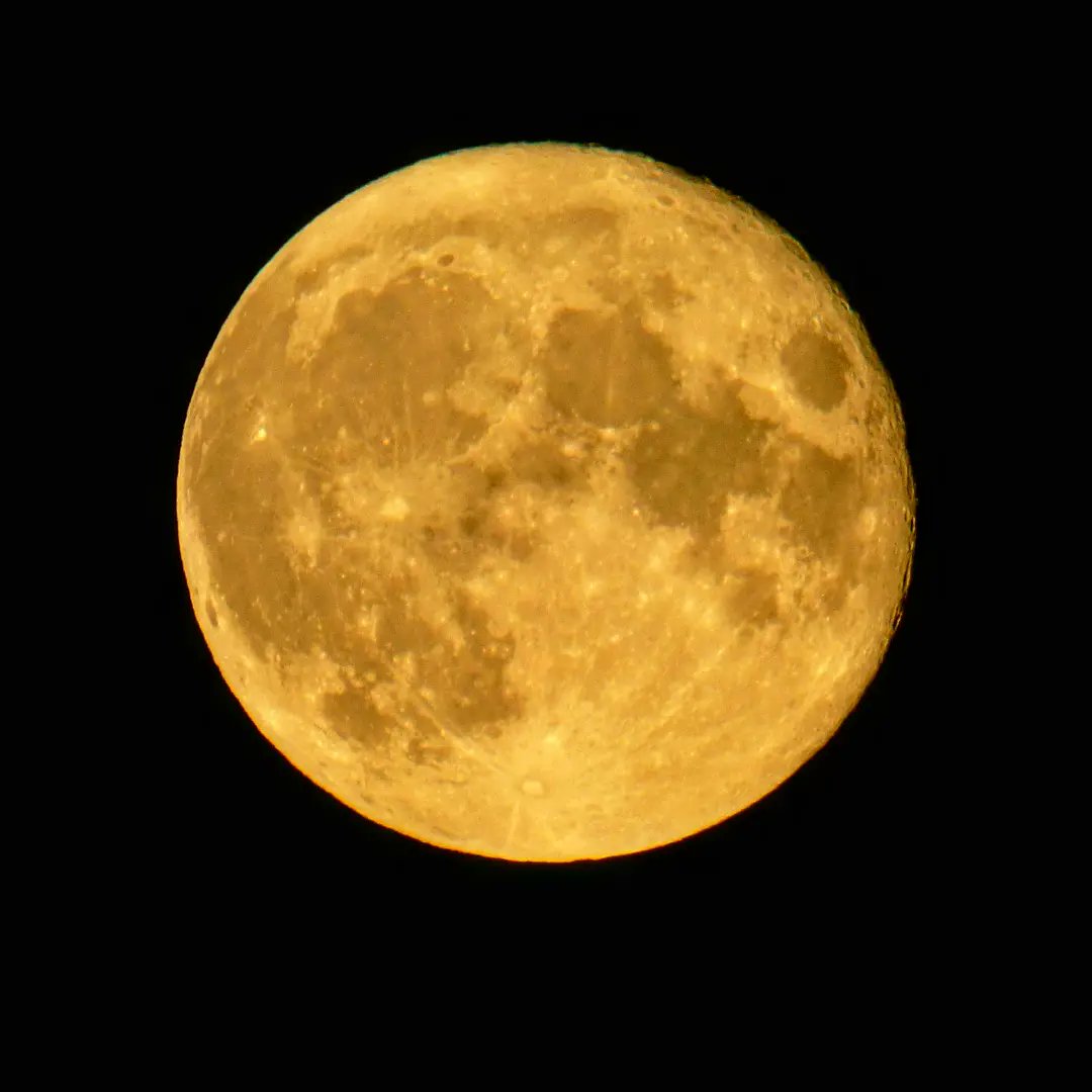 Al_Joe_K's tweet photo. #Supermooon from Rothwell. https://t.co/TN6aPyekqu