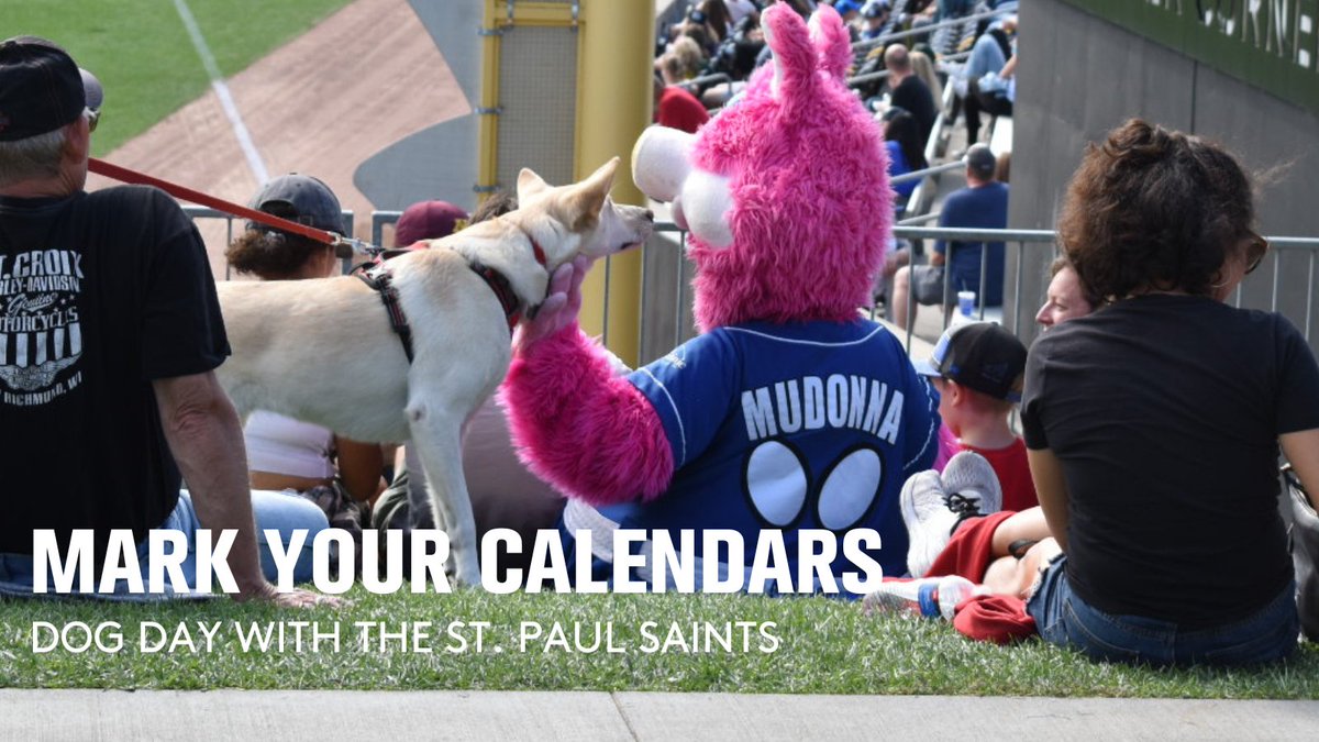 HOMERUN ⚾ Dog Day is back for another year! Join us and the @stpaulsaints Sept 3rd. Get your special ticket package today that include a Saints hat and a coupon: bit.ly/3BB5drA (password: dogdays2022)