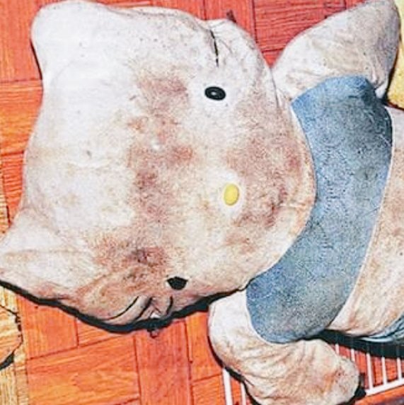 el caso de Fan Man-yee o mejor conocido como "el âsesįnatø de Hello Kitty"
ㅤㅤㅤㅤㅤ  tw!!
by: 🗝️