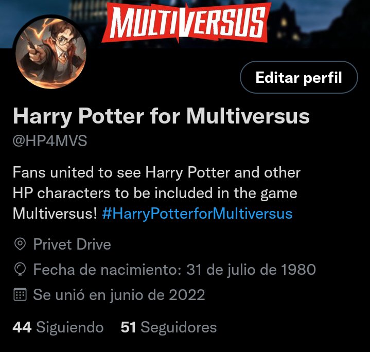 Harry Potter for Multiversus tweet media