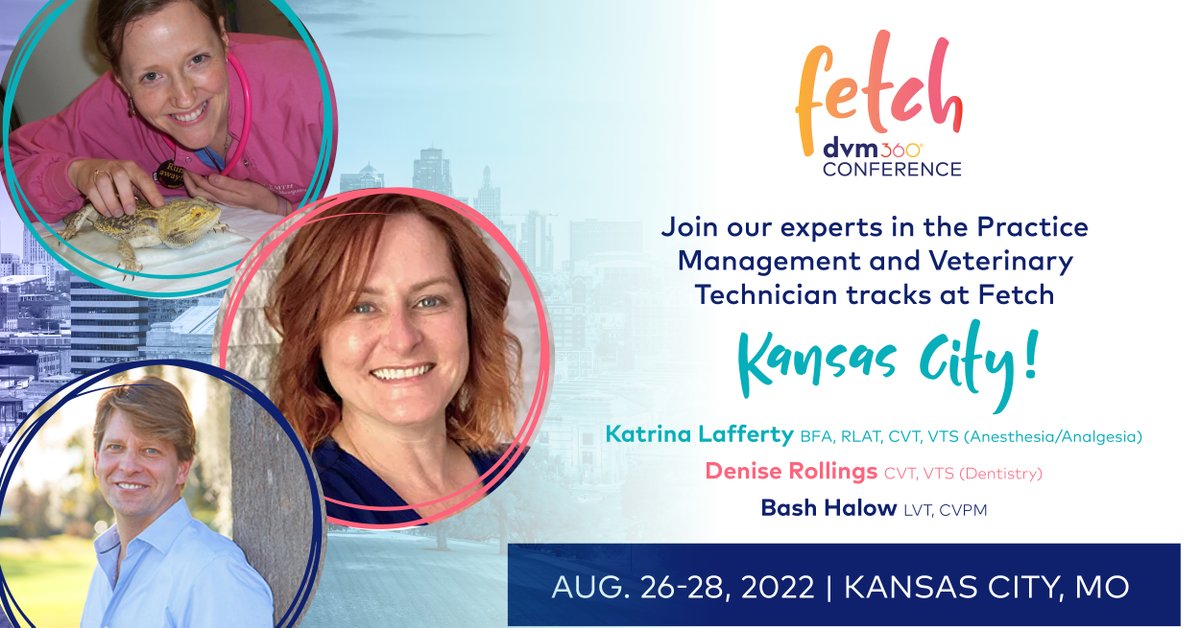 fetchdvm360's tweet image. Calling all Veterinary Technicians &amp;amp; Practice Managers! Did you know Fetch KC has 61 dedicated CEs available for technicians and practice managers?
Come explore &amp;amp; expand your education in these top-rated tracks with our experts!
Click here to REGISTER: ow.ly/k2NJ50Kj3Y1