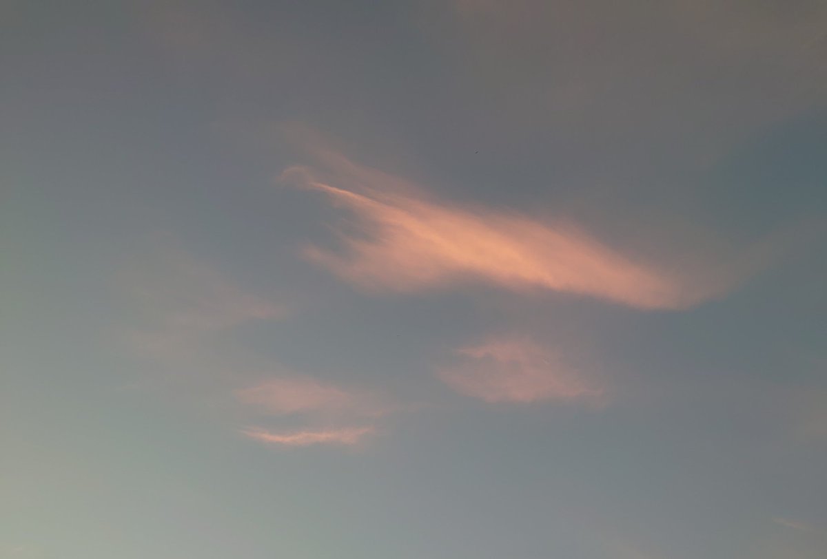 lesenimdunkeln's tweet image. #cloudcontent