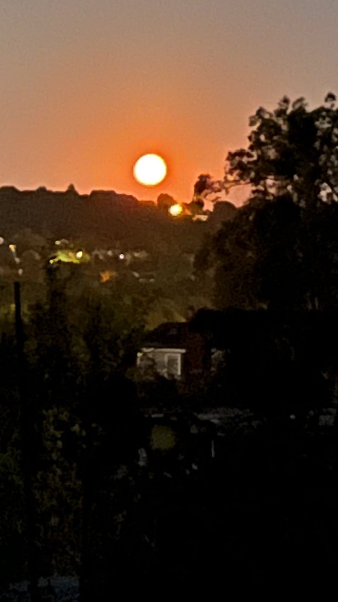 Moon rise this evening