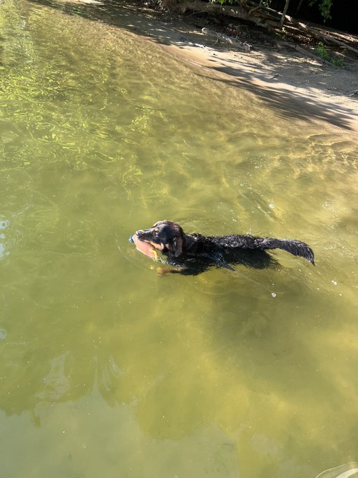 Watch Lucy's leaked NSFW photo on TwXstars