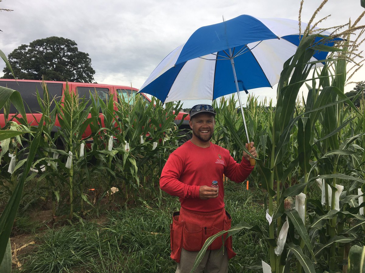 Nothing stops a well prepared pollinator! <a href="/UWMadAgronomy/">UW Agronomy</a> <a href="/UWMadisonCALS/">UW–Madison CALS</a> <a href="/UWMadison/">UW–Madison</a> <a href="/UWMadScience/">UW–Madison Science</a>