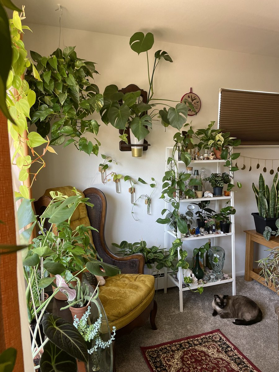 my happy corner🌱