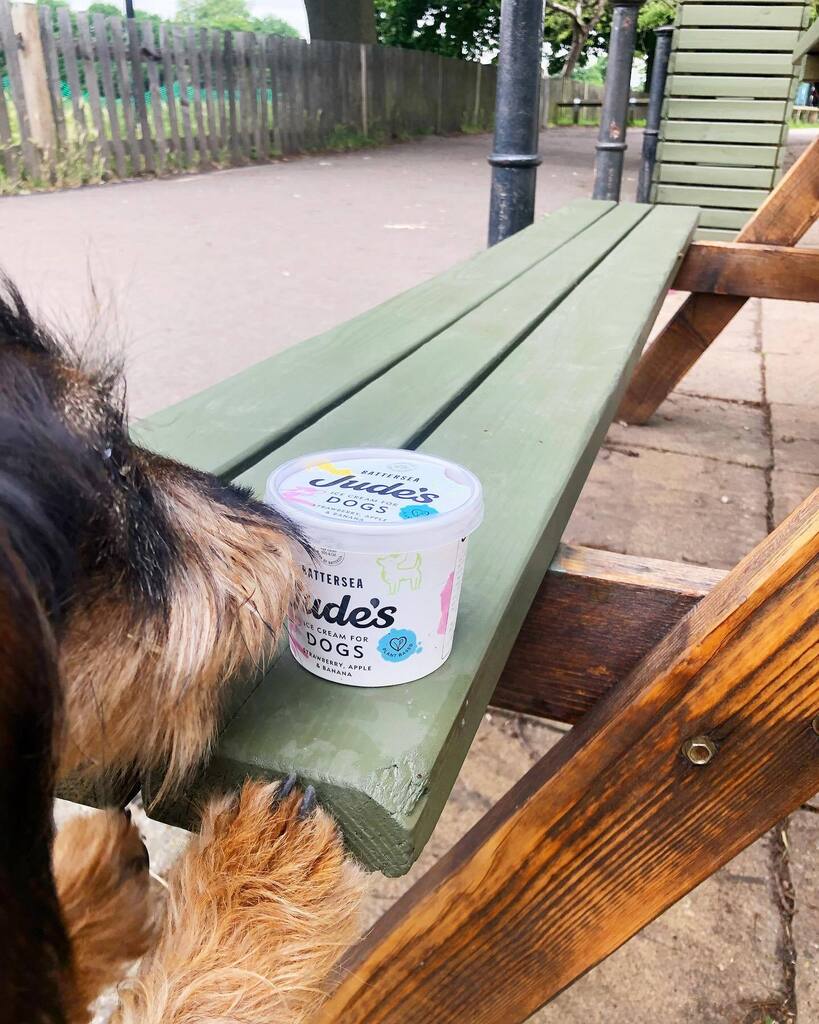 PitzPantry's tweet image. It’s the FABULOUS #architecturefordogs roadshow this weekend @pitzhanger in partnership with @japanhouseldn - and our own four legged friend Maggie here cannot wait! Head over to the Pitzhanger website via their bio, for more information.

🌟 here at … instagr.am/p/ChLN7fjozTe/