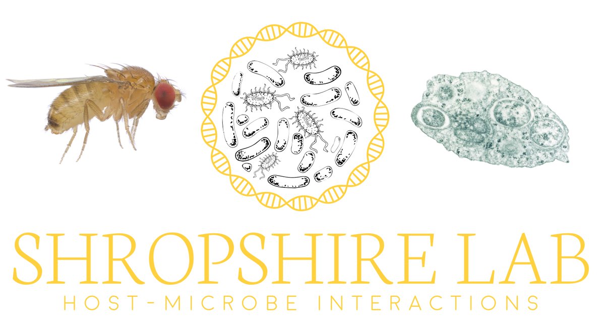 Interested in symbiosis? Think research on bacteria that manipulate insect sex lives is interesting? If so, I have open postdoc, PhD student, and tech positions with start dates as early as Aug '23. More details about what we do and how to get in touch: tinyurl.com/3dw24sa3