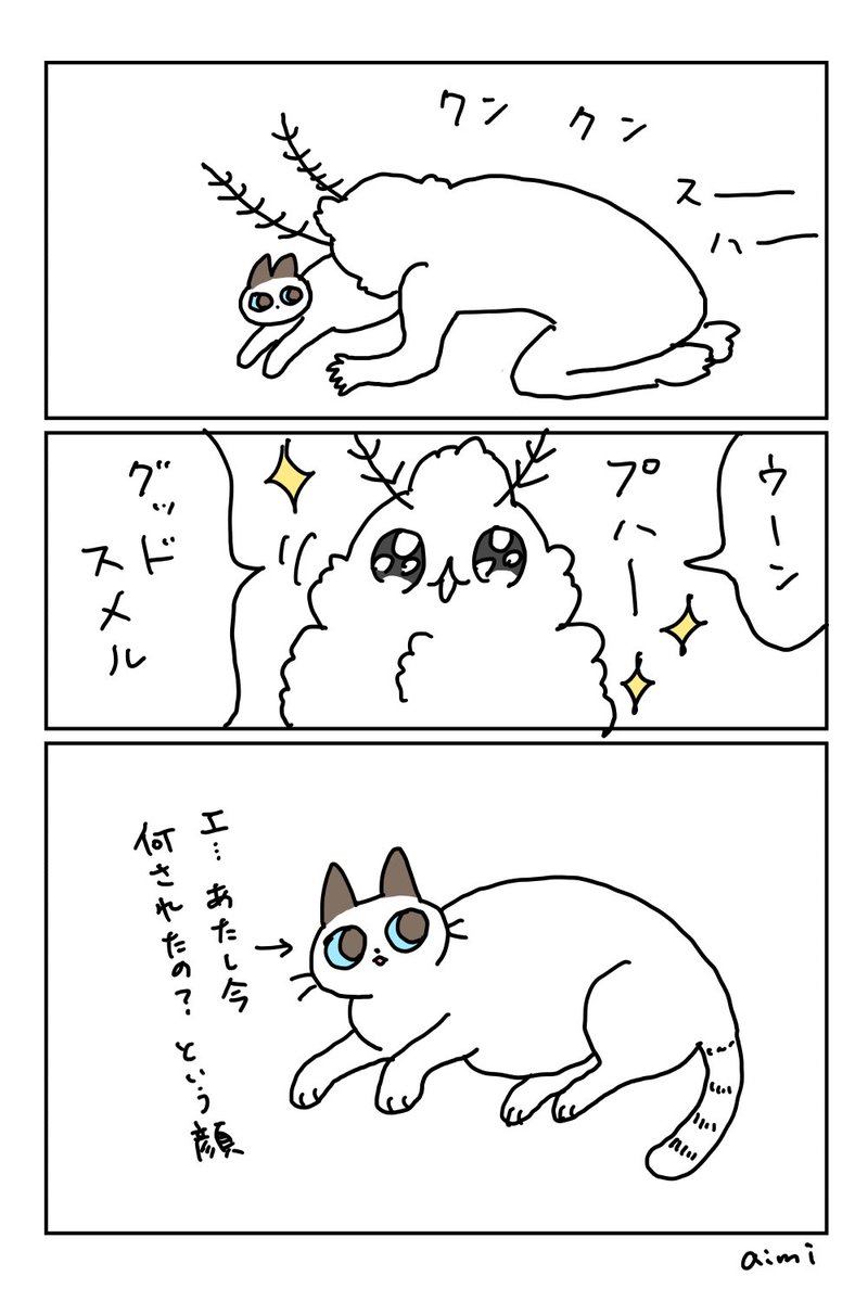 猫、いいにおいがする! 