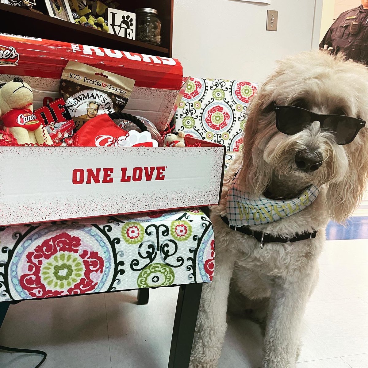 THSWavely's tweet image. I got ONE LOVE for some Raising Cane’s😍. Thank you @raisingcane3 @raisingcanes for sending me all of these goodies today🐾❤️🐾 Playdate soon at the new Tupelo location? #bestdayever #eatatcanes