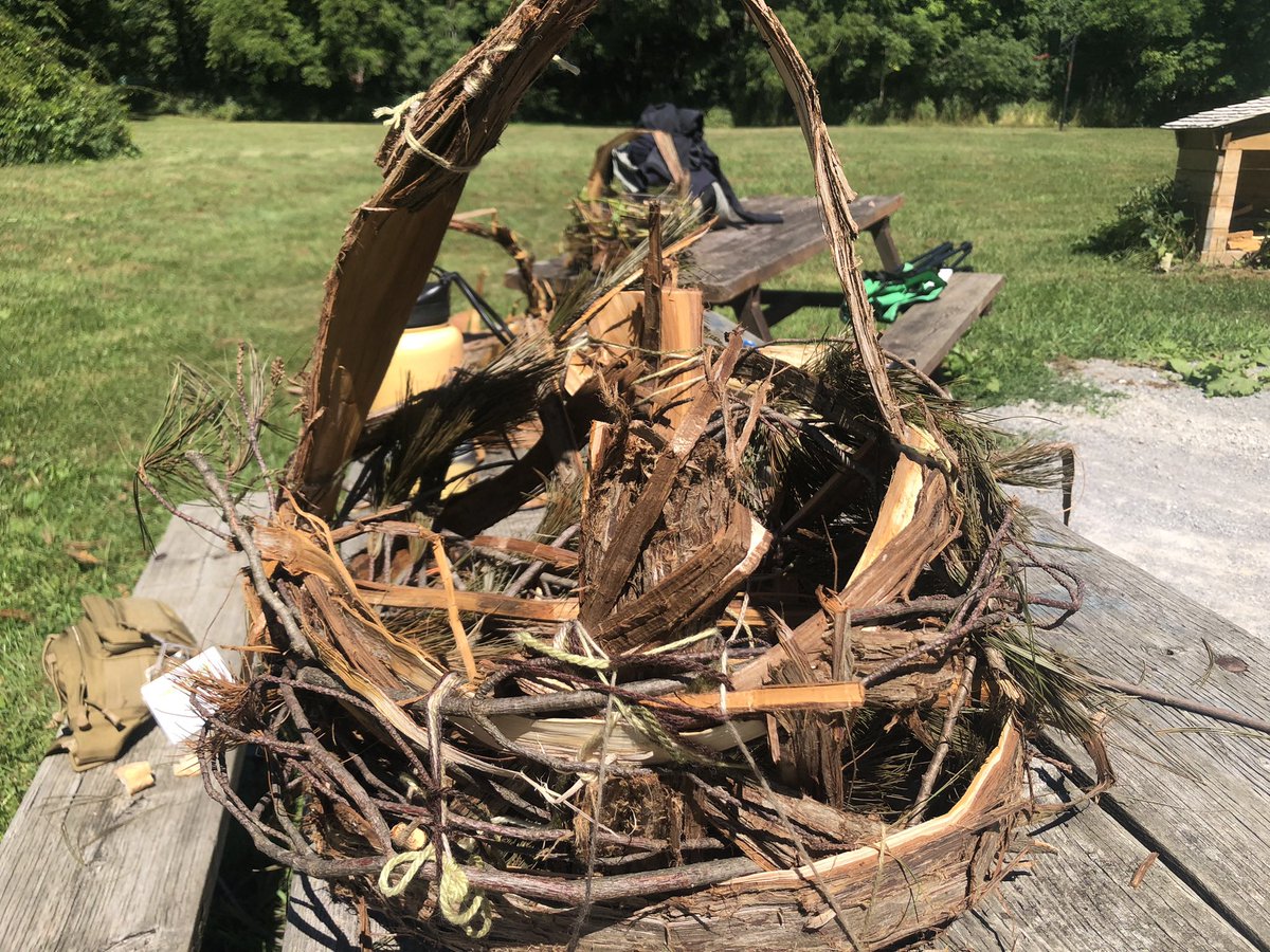 York Region Nature tweet media