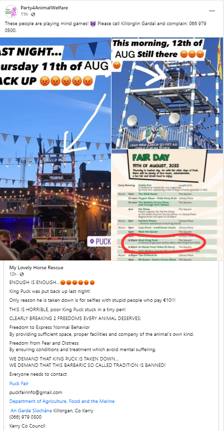 AnimalPartyIE's tweet photo. These people are playing mind games! 👿 Please call #Killorglin Gardaì and complain: 066 979 0500. ENOUGH IS ENOUGH…😡
#KingPuck was put back up last night!
Only reason he is taken down is for selfies with stupid people who pay €10!!
#BanPuckFair
#BoycottPuckFair
#ForPuckSake https://t.co/CiPBlR3SqJ