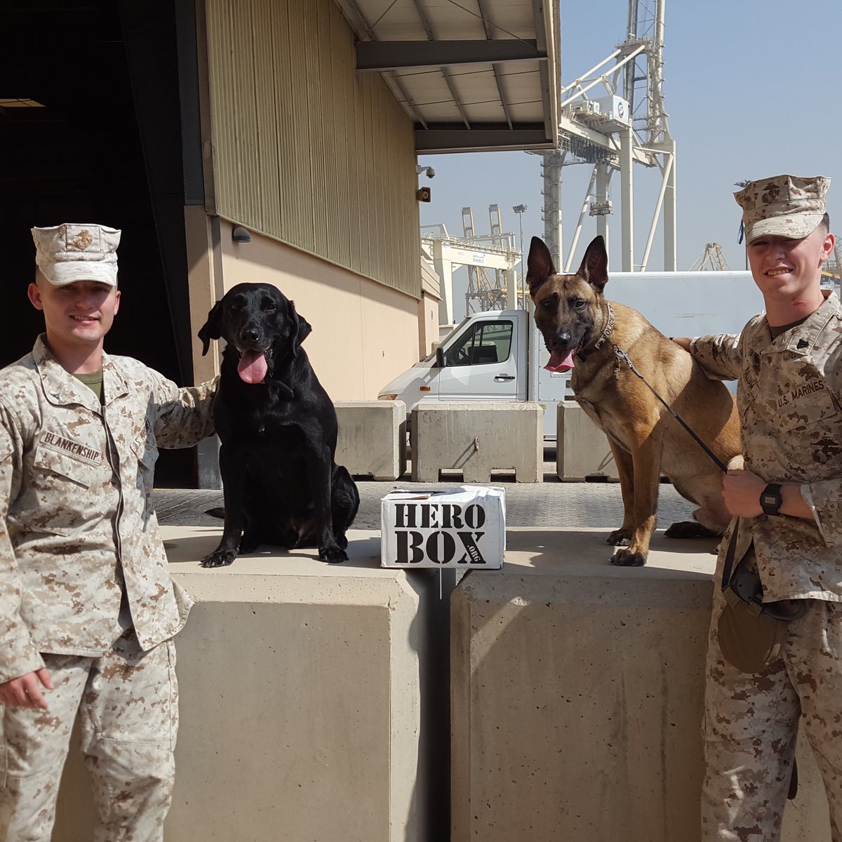 HeroBoxOrg's tweet image. National Dog Day! Show your dog some love today🐶🐕❤️ #NationalDogDay