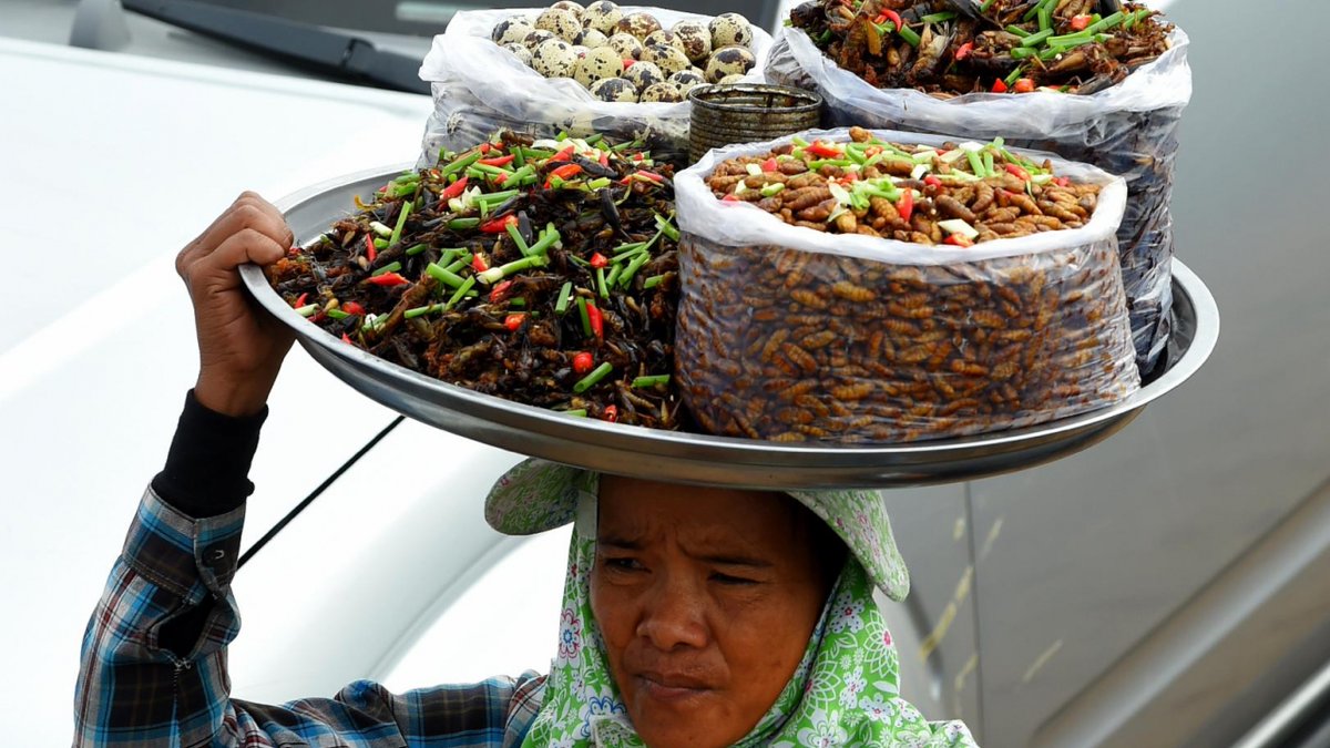 entocurean's tweet photo. Posts mislead on human consumption of insects | Fact Check https://t.co/3CVZIoLUf7 https://t.co/typ5EfbgUU