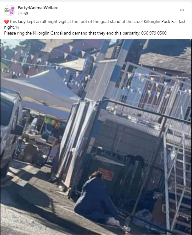 AnimalPartyIE's tweet photo. 💔This lady kept an all-night vigil at the foot of the goat stand at the cruel #Killorglin #PuckFair last night.🐐
Please ring the Killorglin Gardaì and demand that they end this barbarity: 066 979 0500
#BanPuckFair #KingPuck
#BoycottPuckFair
#ForPuckSake 🐐🐐
#BanBloodSports https://t.co/TMk4mC94ZH