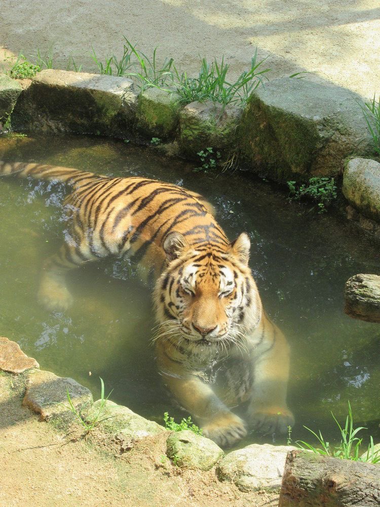 星 (@roughblushs) on Twitter photo 