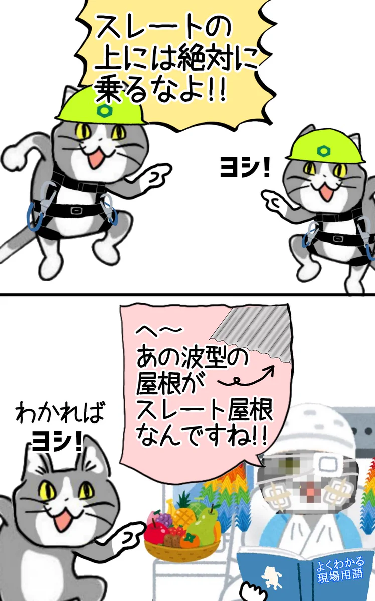 スレートって何かわからないけど…ケガしてからでもわかればヨシ！？