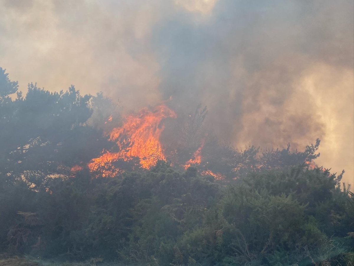 DWFRSSwanageStn's tweet photo. 🚨🚒🚒🚒🚨

Busy day today, firstly attending a fire on the hillside at Church Knowle and then being mobilised to the large heath fire at Studland. Crews will be damping down through the night and probably tomorrow too. #swanage #dorset #fire #dwfrs #studland #wildfire https://t.co/68yJfZBPWf