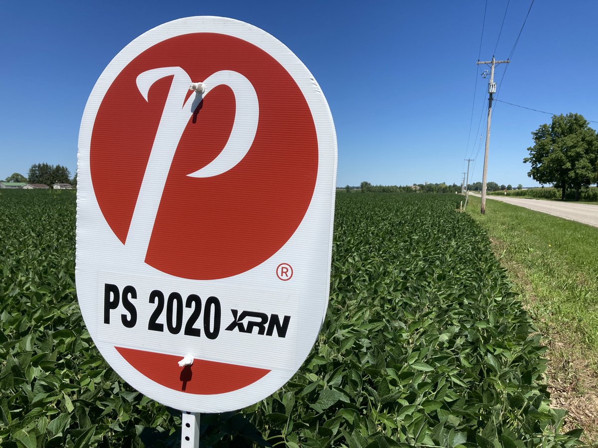 Touring PRIDE Seed commercial and production fields past couple afternoons, very good looks overall