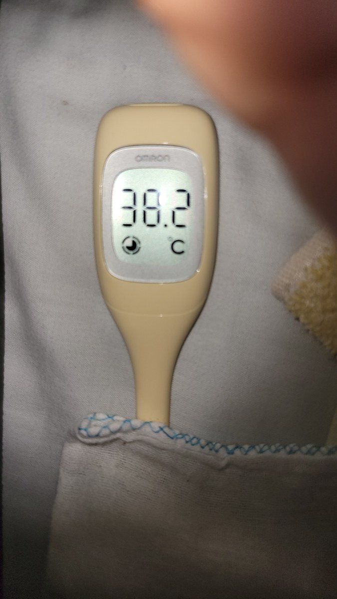 ᴳᴼᴼᴰ(≧∀≦*)ﾉᴹᴼᴿᴺᴵᴺᴳ