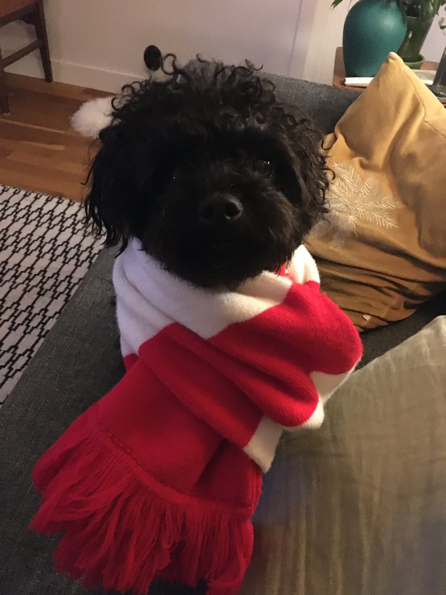 Oskar Eriksson tweet media