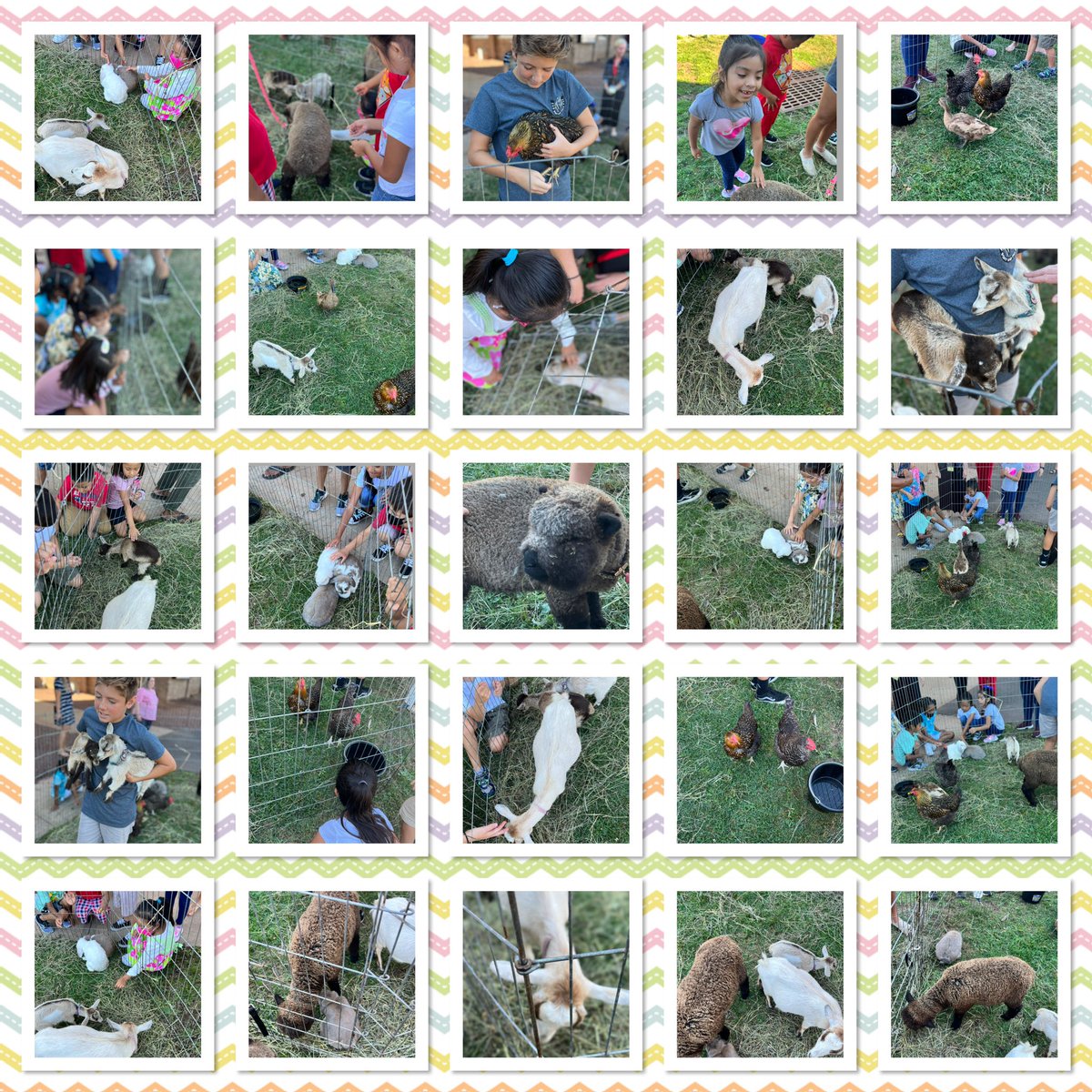 Vazquez308's tweet photo. Summer of Fun- Petting Zoo! π°ππ¦πππ#RBBisBIA #RBSummerLearning @rbbsummer @rbpsEAGLES https://t.co/tR3eyGHJyi