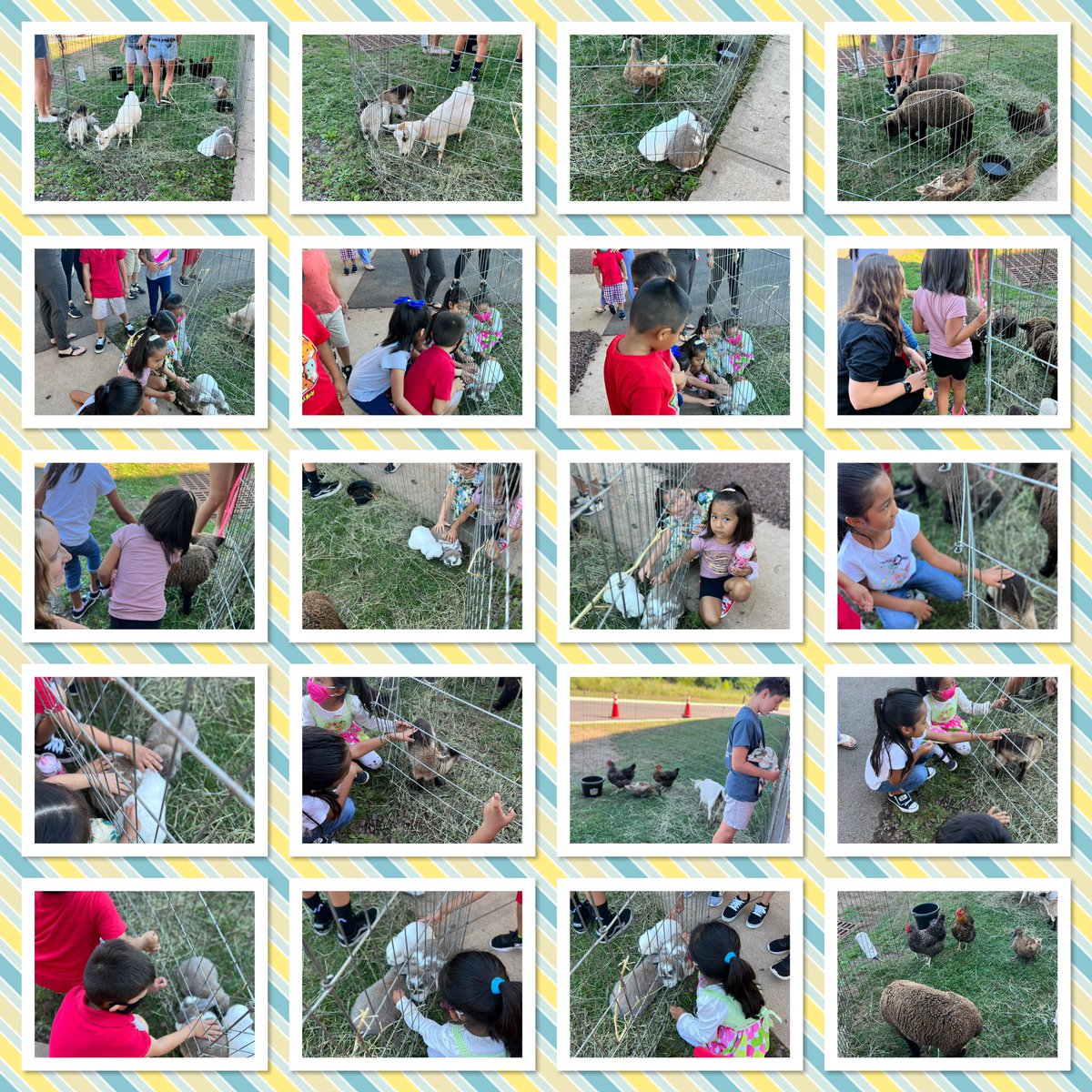Vazquez308's tweet photo. Summer of Fun- Petting Zoo! π°ππ¦πππ#RBBisBIA #RBSummerLearning @rbbsummer @rbpsEAGLES https://t.co/tR3eyGHJyi