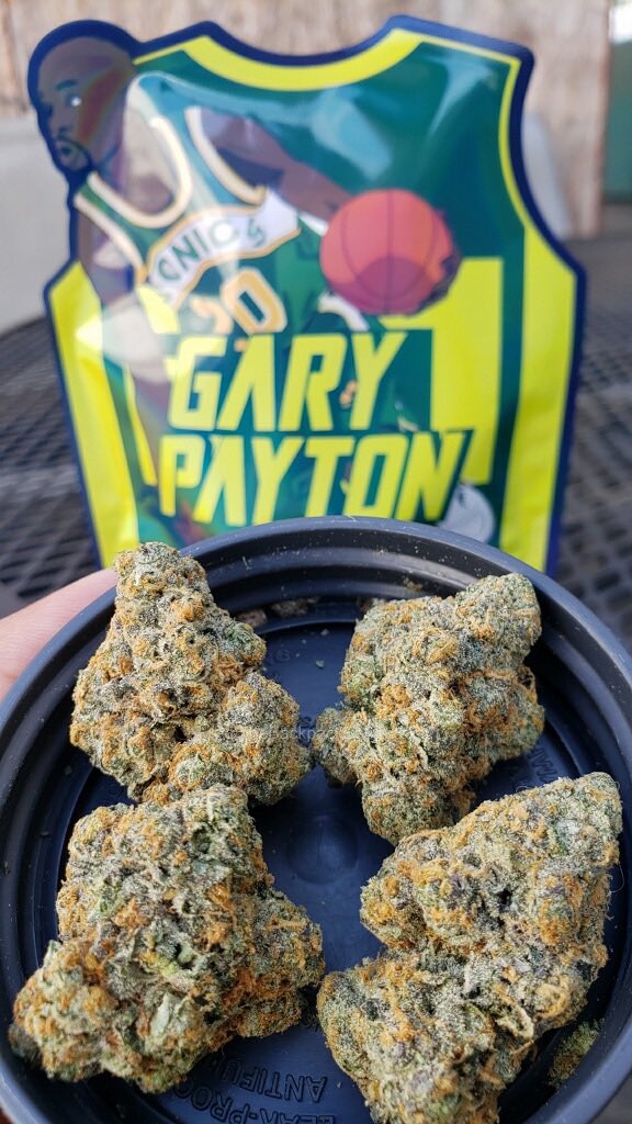 Gary Payton 2 #GaryPayton2 #TheBackpackBoyz #BackpackBoyz #MedicalCannabis
