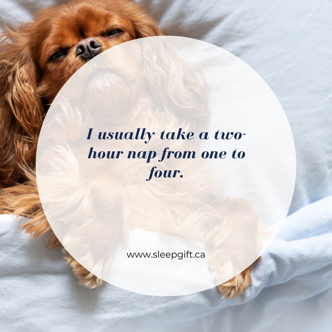 bbholistics's tweet photo. This is usually what happens yea.. 🙃 

#funnysleepquotes #sleepquotes #sleepblog https://t.co/U17HLxZQjW