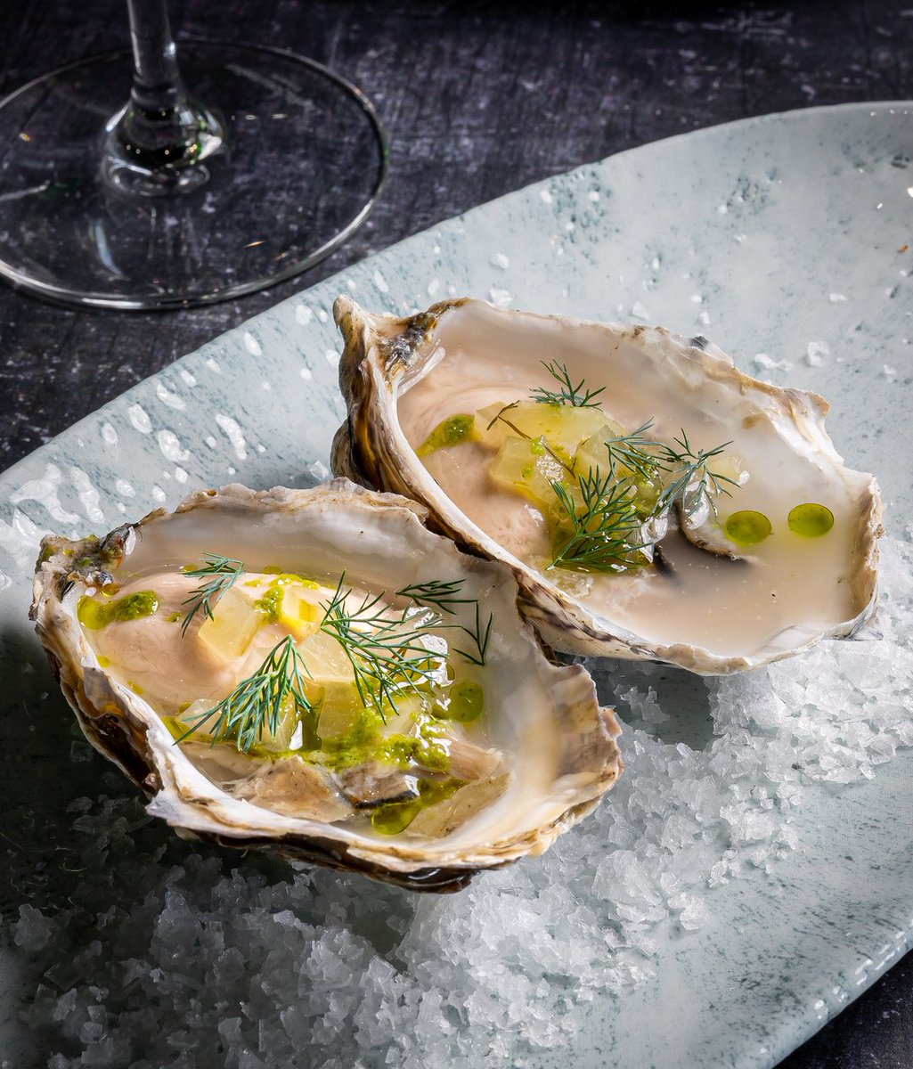 Across the pond they're celebrating #nationaloysterday and as we're big fans of oysters here at Cornish Secrets we thought we'd show the delicious shellfish some respect too.  

In fact, this week we enjoyed a tasty Porthilly oyster @seafeverbude🦪 We're so lucky here in Cornwa