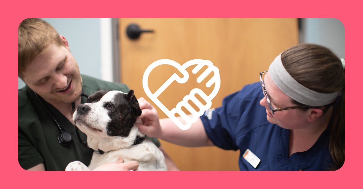 VeterinaryHope's tweet photo. Veterinarians help keep our pets healthy and happy. Help the Veterinary Hope Foundation ensure that veterinarians can have that same happiness for themselves. Learn more at: https://t.co/sS5QU78mHF https://t.co/EXtrPTVAnw